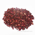 Jual panas kubus bit merah dehidrasi